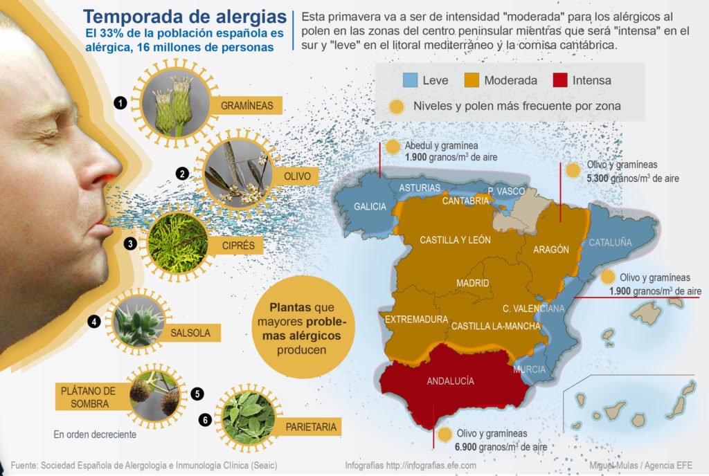 Alergia al polen 